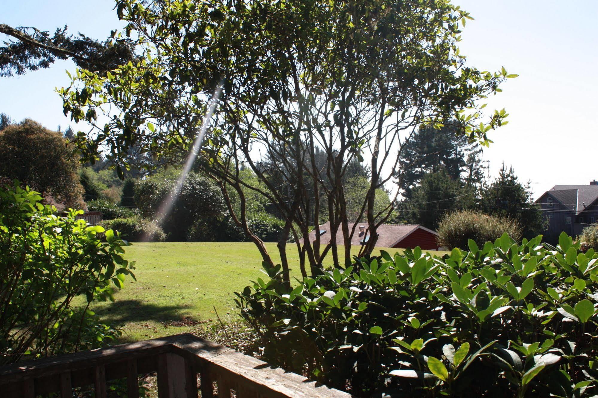 View Crest Lodge Trinidad Exteriér fotografie